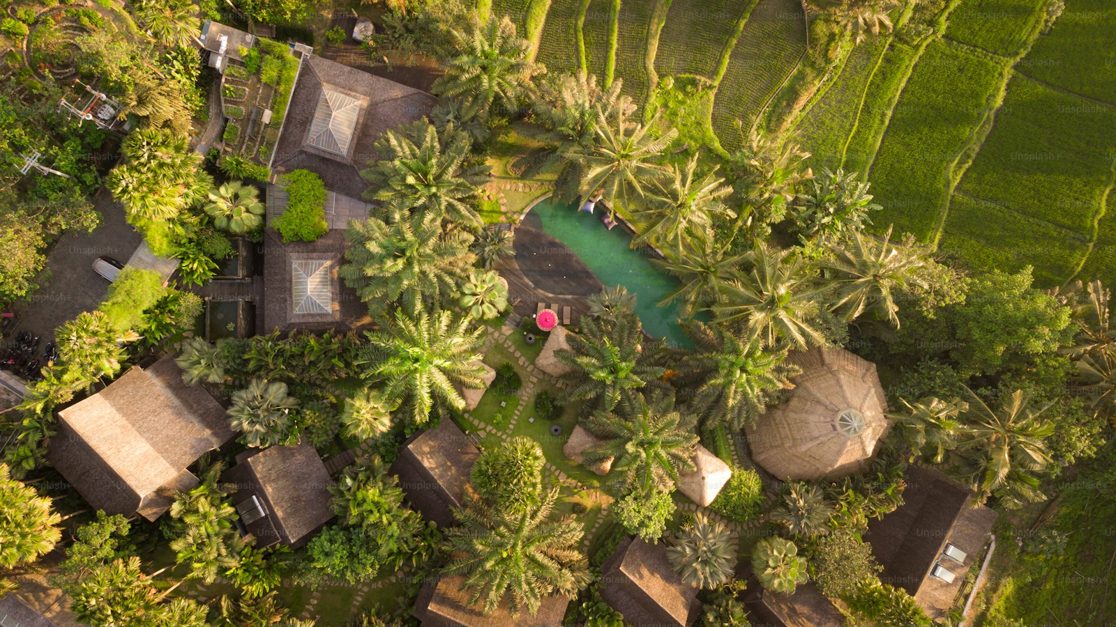 Dominating Google Search & Local Maps for Boutique Hospitality in Bali